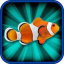 Aquarium Maker