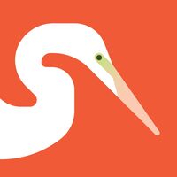 Audubon Birds