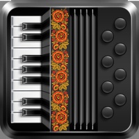 Baby Accordéon