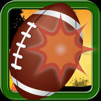 BallHuntPro