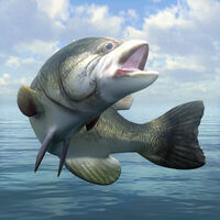 BassFishing
