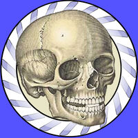 Bones Lite