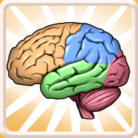 BrainExercise