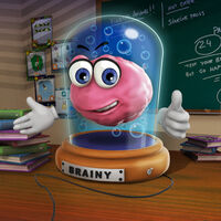 Brain 24