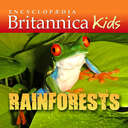 Rainforests