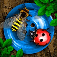 Bugs and Buttons