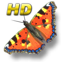 iButterfly HD