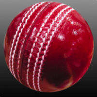 Cricket Game