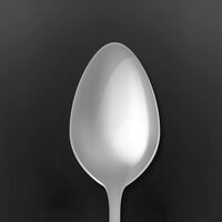 SilverSpoon
