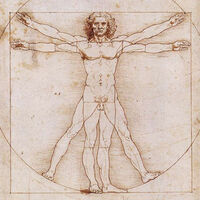 Da Vinci HD