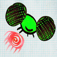 DoodleBugs