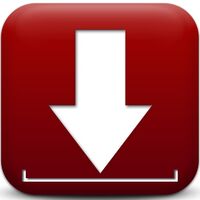Downloader