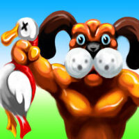 Duck Hunt C