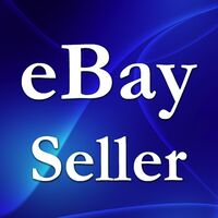EBaySellerBasicIBook