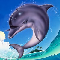 Ecco the Dolphin