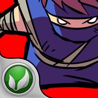 Elusive Ninja
