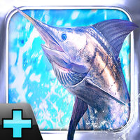 Fishing Kings Free