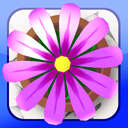 FlowerGarden