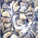 Fluid