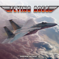 Flying Aces
