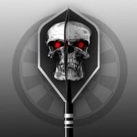 KL Darts Pro