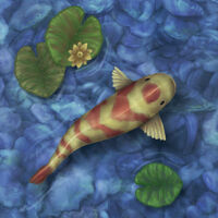 Koi Pond