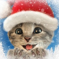 Little Kitten