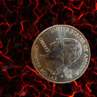 Martys Coin