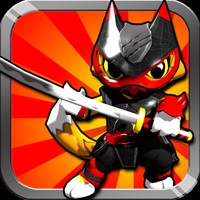 Ninja Kitty