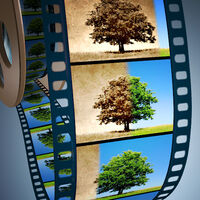 OldVideoPRO