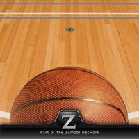 Pro B-Ball