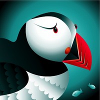 Puffin