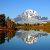 Reflection