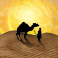 Thr the Desert