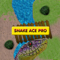 SnakeAcePro
