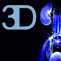 The Urogenital System - iPad edition