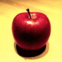 VintageView