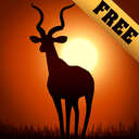 DHS FREE
