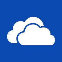 SkyDrive Pro