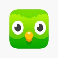 duolingo ios5