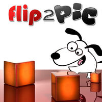 flip2PICwt