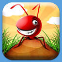 Pocket Ants