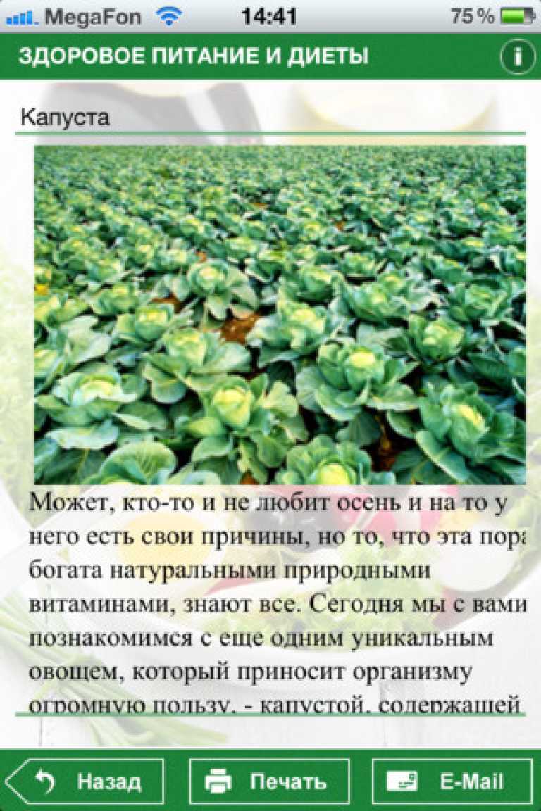 Здоровое питание и диеты