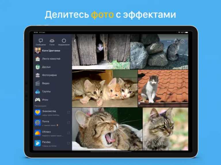 Мой Мир