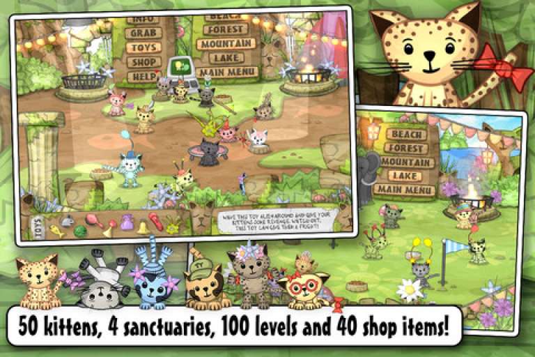 Kitten Sanctuary 