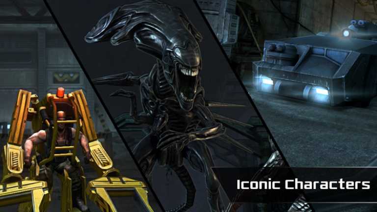 AVP Evolution