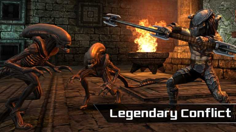 AVP Evolution
