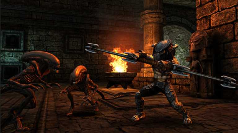 AVP: Evolution
