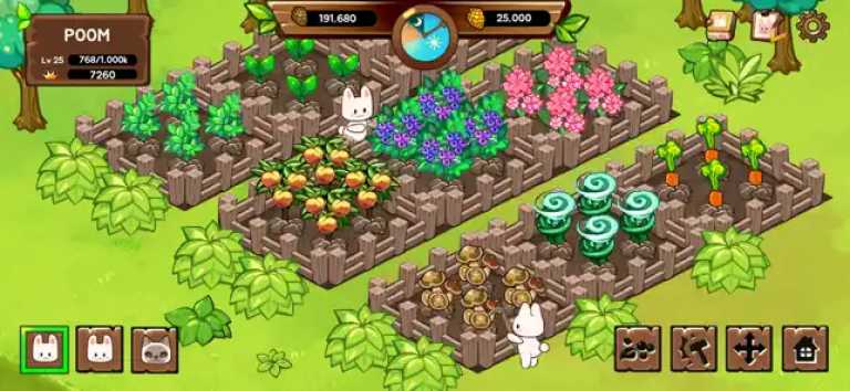 Animal Camp