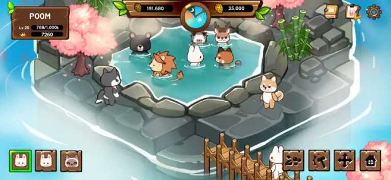 Animal Camp